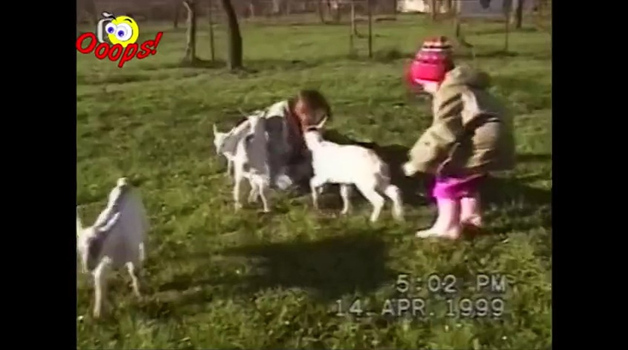 Goats Yelling Like Humans - Super Cut Compilation