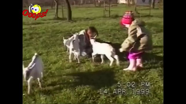 Goats Yelling Like Humans - Super Cut Compilation