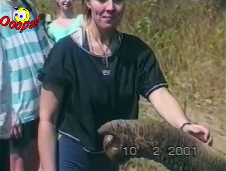 Funny Animals  Funny Animal Attacks1