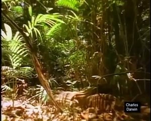 LA VIDA Y LA OBRA DE DARWIN. LAS BASES DE LA EVOLUCIÓN