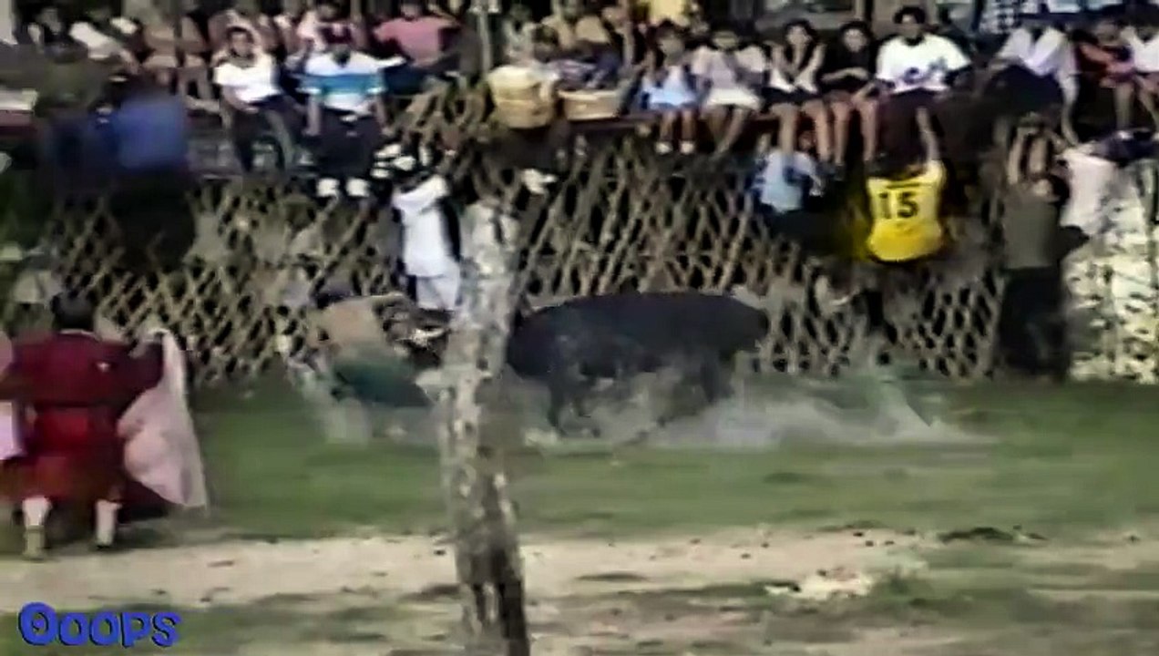 Bull Fight Bloopers Caught On Tape1