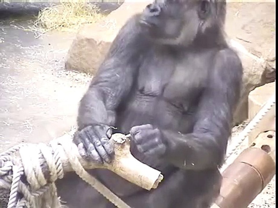 16.02.2011 - Používám nástroje (Bikira)