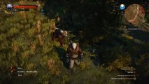 The Witcher 3: Wild Hunt physics bug