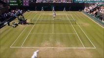 Jo-Wilfried Tsonga vs Ivo Karlovic Wimbledon 2015 Highlights