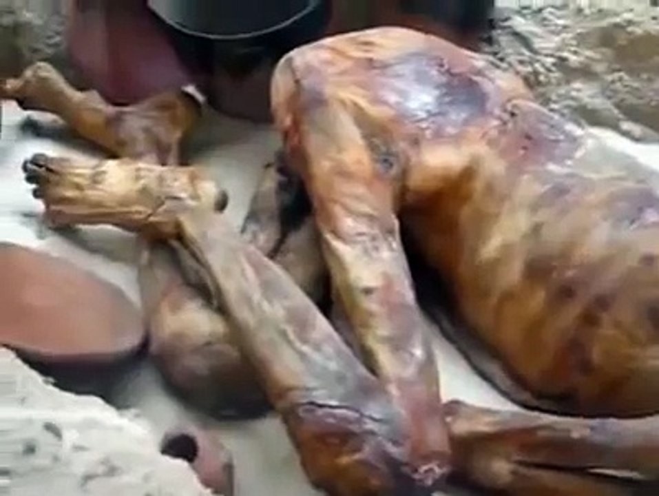 SULARA GÖMÜLEN FİRAVUNUN CESEDİ