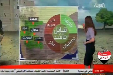 تقرير مصورمن العربية عن قبائل حاشد في اليمن وتعدادها وعدد مسلحيها