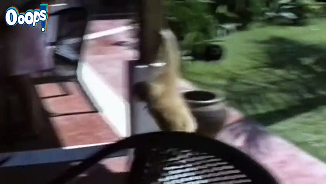 Killer Epic Funny Fail Compilation  Best Funny Videos  Funny Fails December 2014