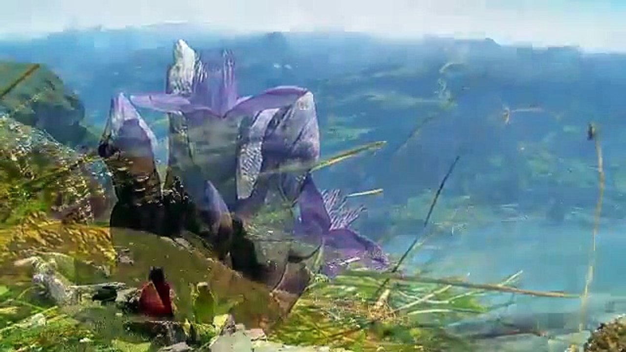 Real Switzerland Summer (Tourism Promo by DirectRooms.com)