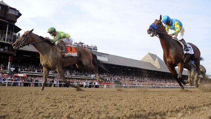 American Pharoah Conquered at Saratoga