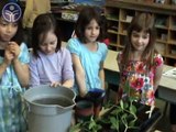 Des élèves de première année apprennent les rudiments de la botanique (CSDM)