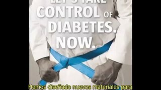 Día Mundial de la Diabetes 2010 - Elementos visuales de la campaña