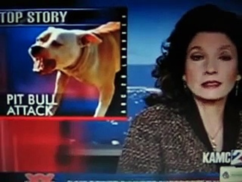 Pit bull kills a Yorkie