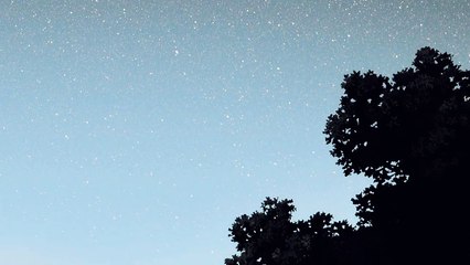 Hana & Wolfman | Wolf Children