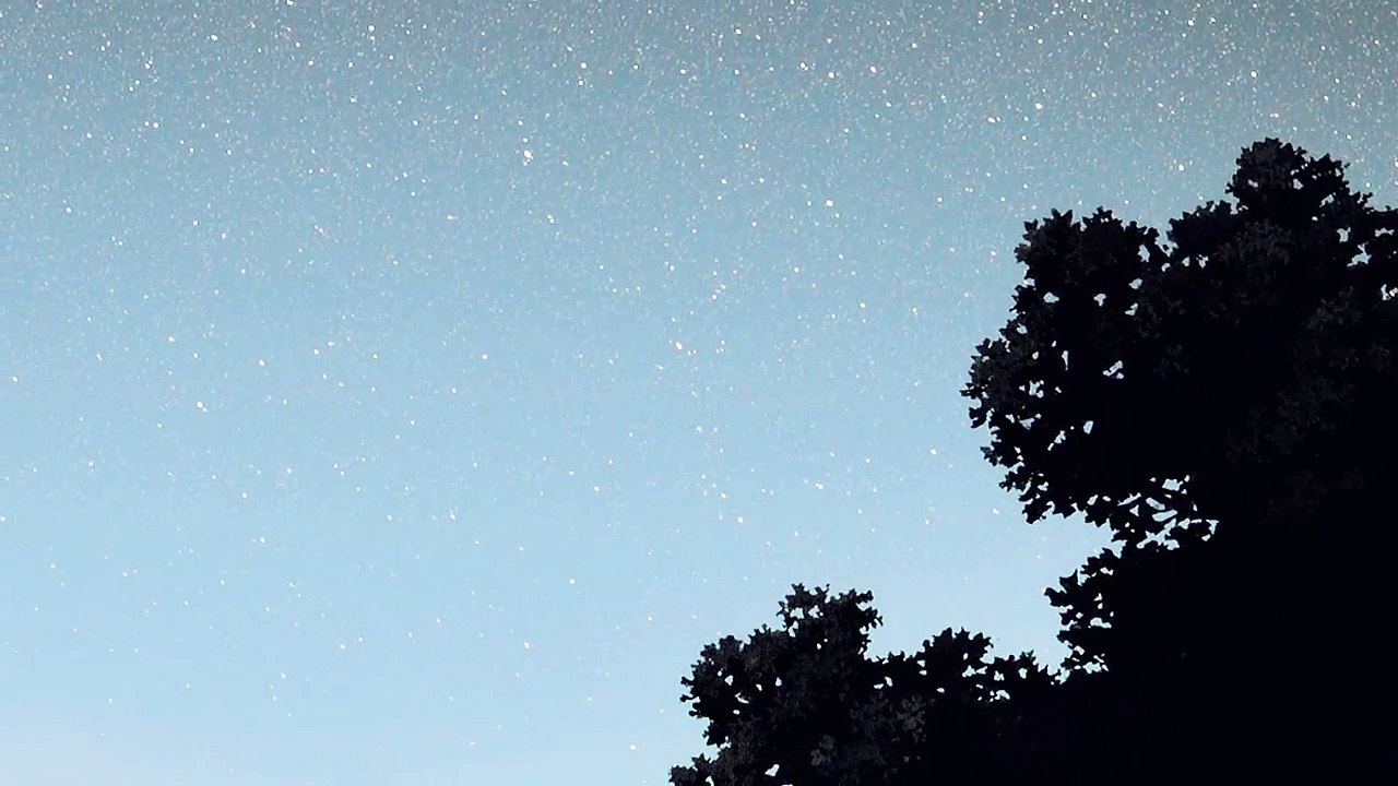 Hana & Wolfman | Wolf Children