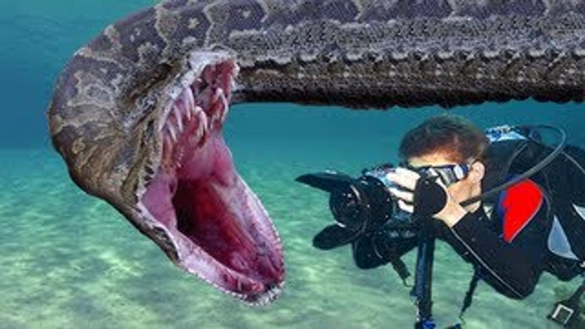 Scientists Stumble Upon the Largest Anaconda Ever Found in the Amazon on  the Set of Will Smith's Show, image size:1920x1080