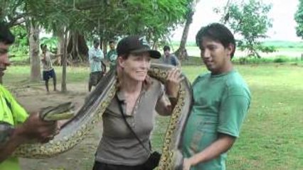 Giant Anaconda handled by woman - Amazon Jungle.