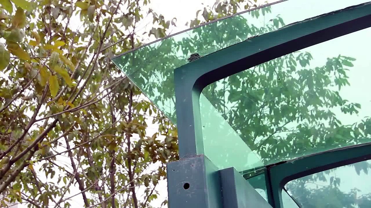 A creative mobile phone advertising！Just for fun！