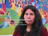 PUEBLOS ORIGINARIOS: AVANCES Y DEUDAS EN EL CHILE DEL 2008