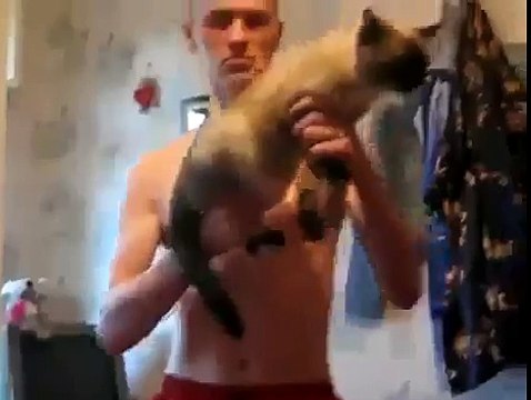 Canlı kediden silah olur mu