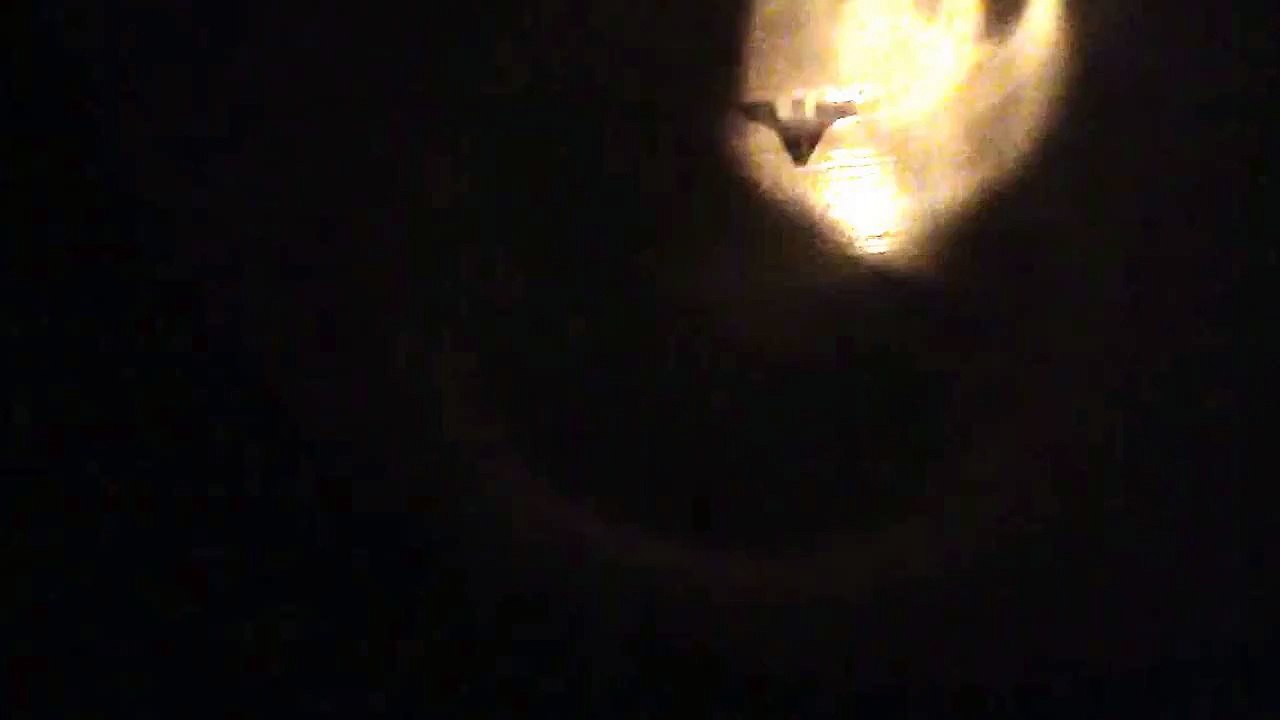 Lego batman vs superman trailer fan film