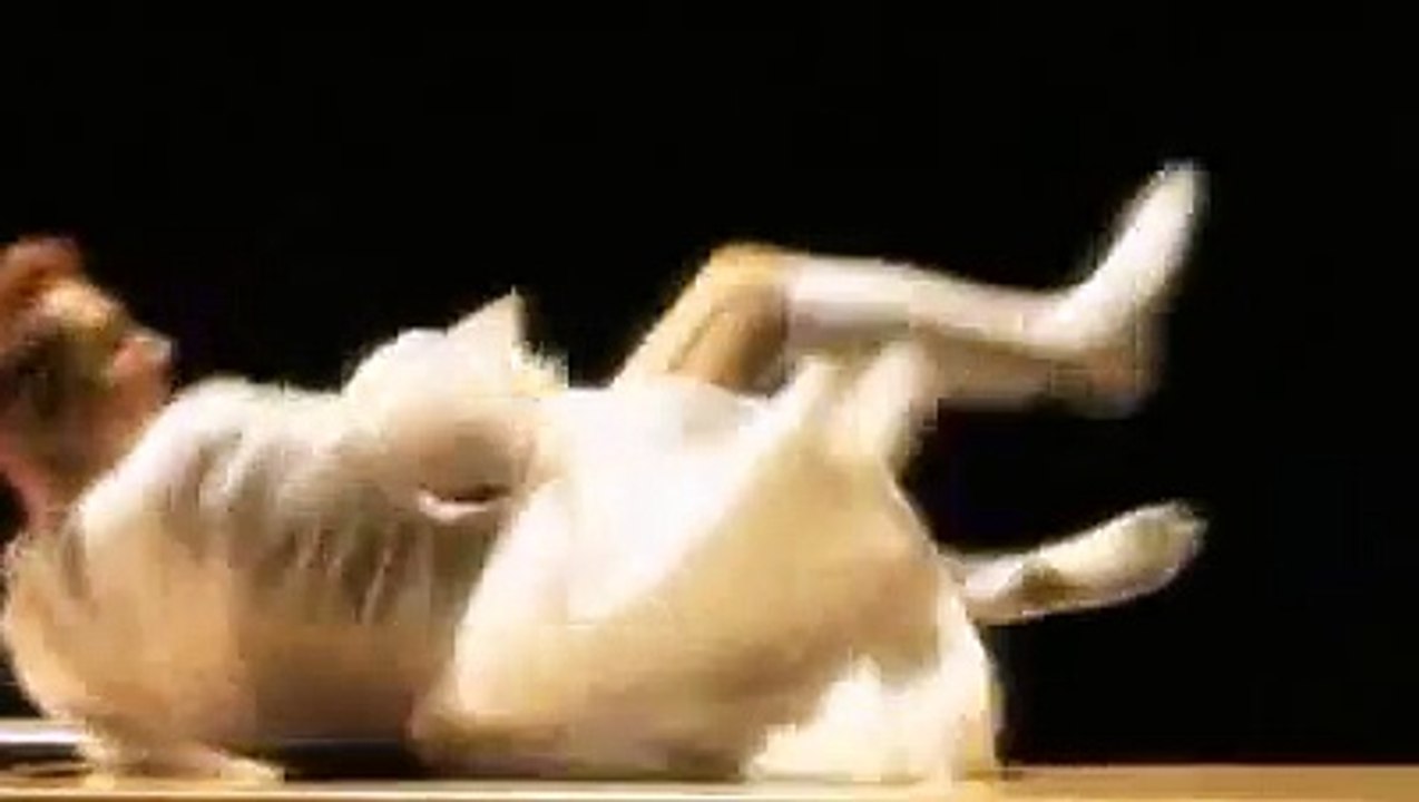 Sylvie Guillem - Eonnagata - 2009