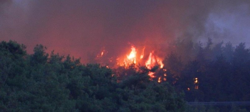 Bursa'da büyük yangın... Evler boşaltıldı