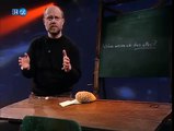 Alpha Centauri - 072 - Woher wissen wir das alles | [S04E13] Bildung Deutsch
