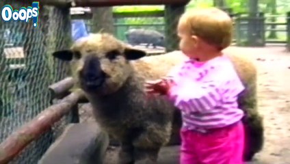 BEST Funny Videos 2015 Accidents - Funny Home Videos  – Funny Accident Videos