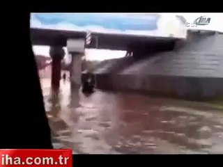 Hero dog owners has saved