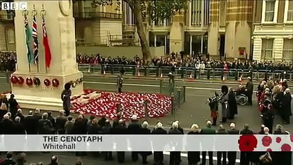 Armistice Day   UK falls silent _ Funny Compilation _ The Best