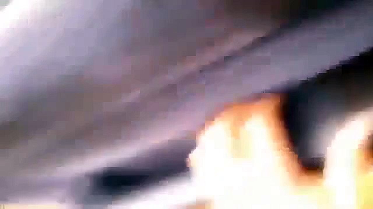 Best Baby Fox Rescued from Jar Funny Animals Funny Animal Videos _ Funny Compilation _ The Best