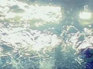 Superscience Instinct de Survie 6