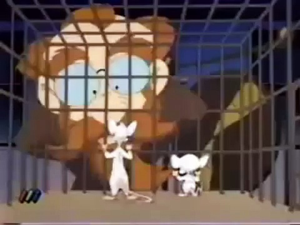 Condicionamiento Clasico Pinky y Cerebro