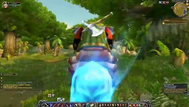 warcraft ( petit panthère deviendra grand . . . ) 289