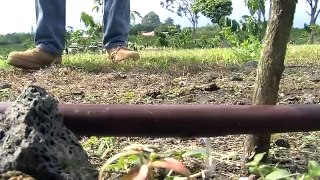 Creating a Sustainable Kona Coffee Plantation with Military Surplus from GovLiquidation.com