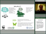 Reducing Emissions through Reduced Impact Logging (RIL-C)