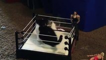 Two kittens wrestling in mini-ring are the new mike tyson!