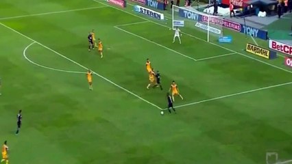 Encore un sublime but d'André-Pierre Gignac