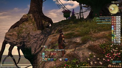 FFXIV 3.07 Blue Cloud Coral Fishing Location