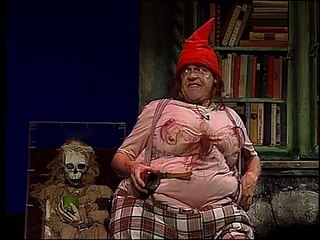 bert visscher - kabouters ( 7 dwergen)