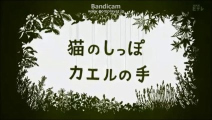 ベニシアさん・越前和紙を求めて・福井県の旅