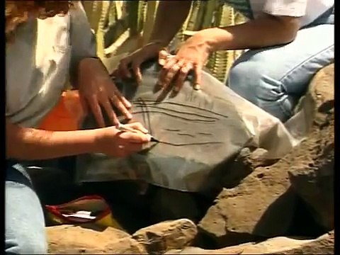 Los Aborígenes Canarios Guanches