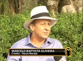 MARCELO BAPTISTA OLIVEIRA - HARAS MARIPÁ