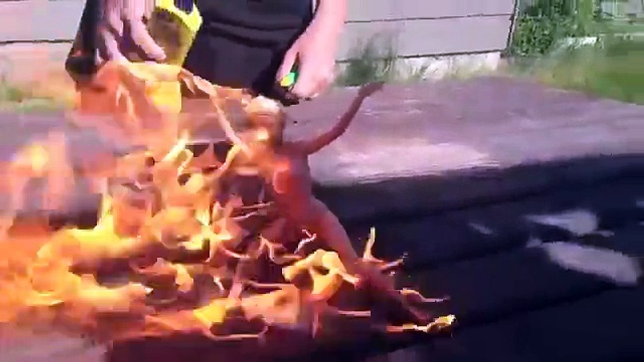 Burning Barbie