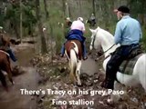 Tennessee Walking Horse Training Trail Ride / Camping Angelina Forest