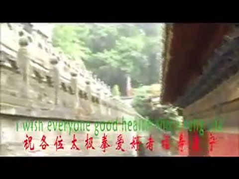 Wudang Tai Chi Kung Fu Zhang San-feng Tai Chi Chuan 13 Form.