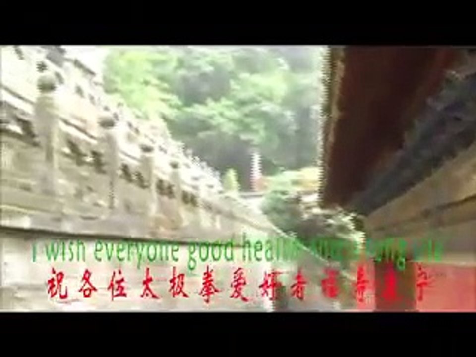 Wudang Tai Chi Kung Fu Zhang San-feng Tai Chi Chuan 13 Form.