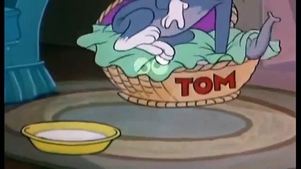 Tom and jerry cartoon   Tom and jerry funny for kid 1