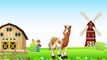 Английский язык для малышей Учим английский язык   Домашние животные  English for kids