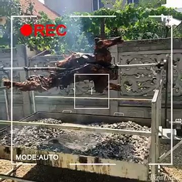 nunta de lux la timisoara 2015